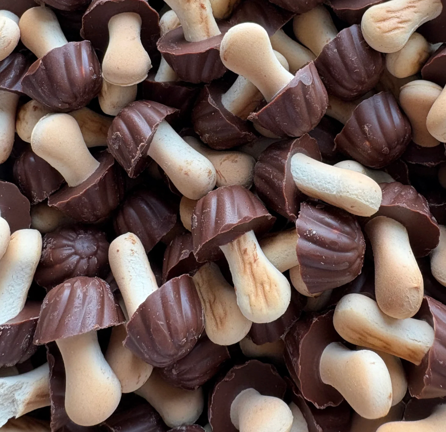Biscuits Champignons Chocolat - 100g (environ 25)