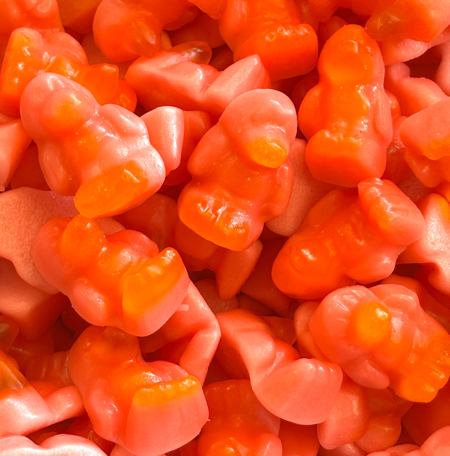 Pingouins Passion & Pêche - 100g