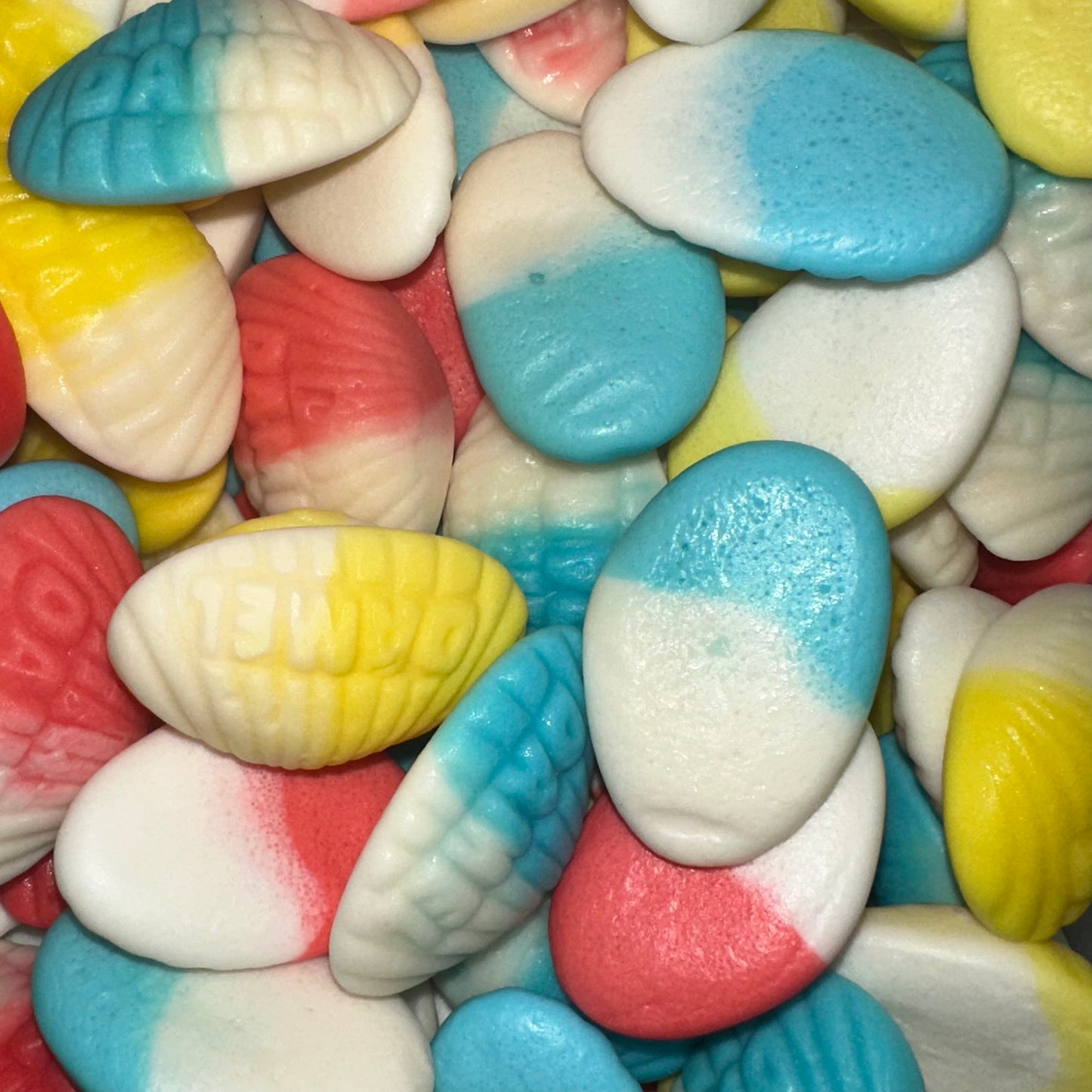 Coquillage (Nouveauté) - 100g