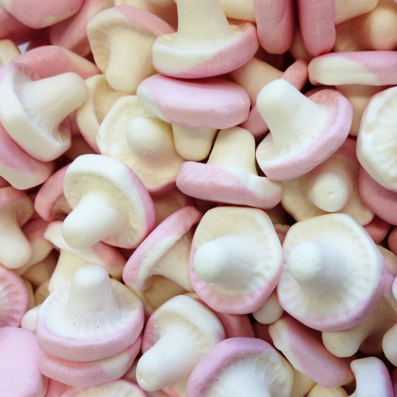 Champignons Lisses - 100g