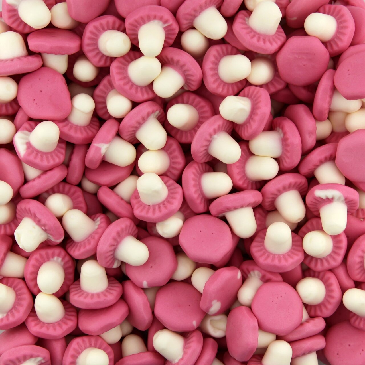 Champignons Lisses - 100g