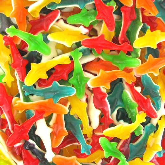 Requin Lisse - 100g