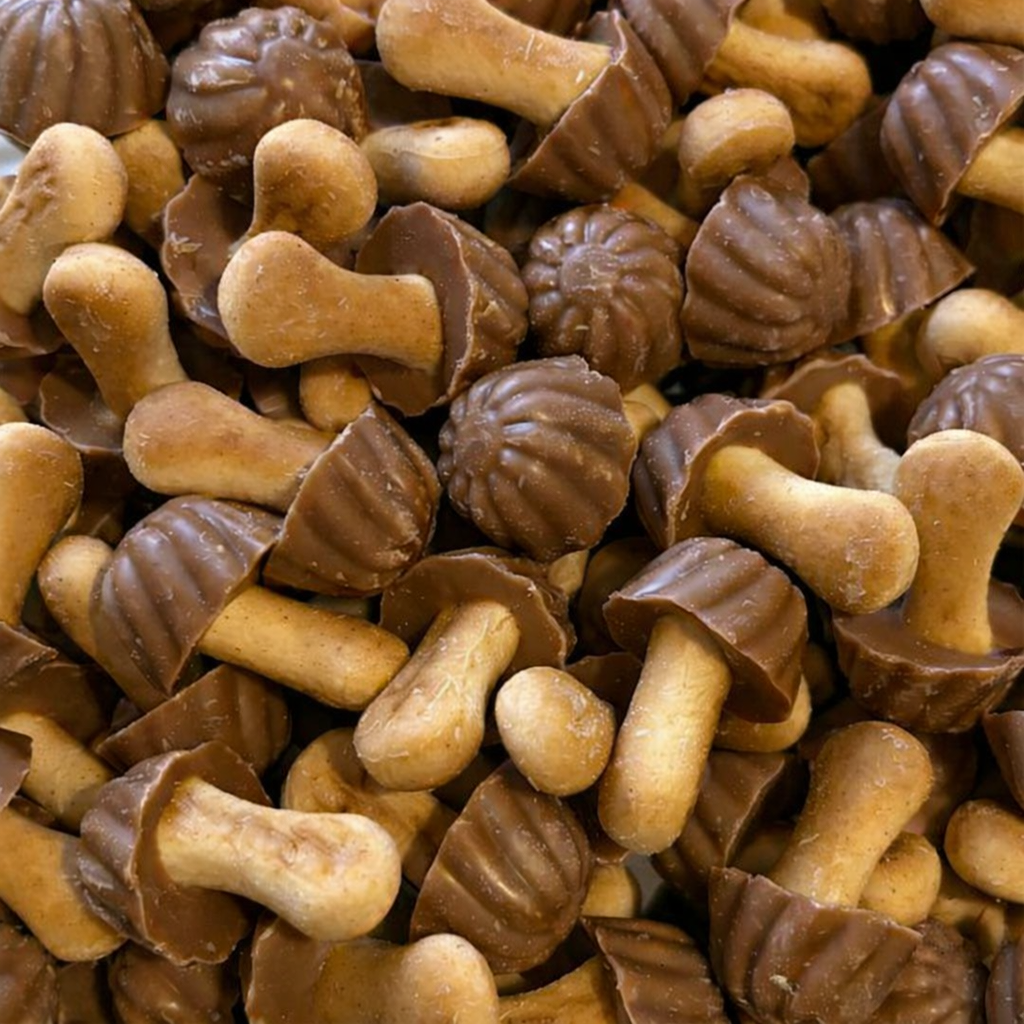 Biscuits Champignons Chocolat & Caramel - 100g (environ 25)