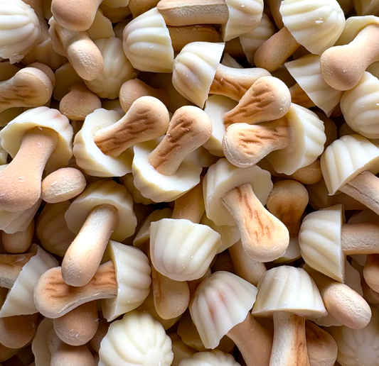 Biscuits Champignons Chocolat Blanc - 100g (environ 25)