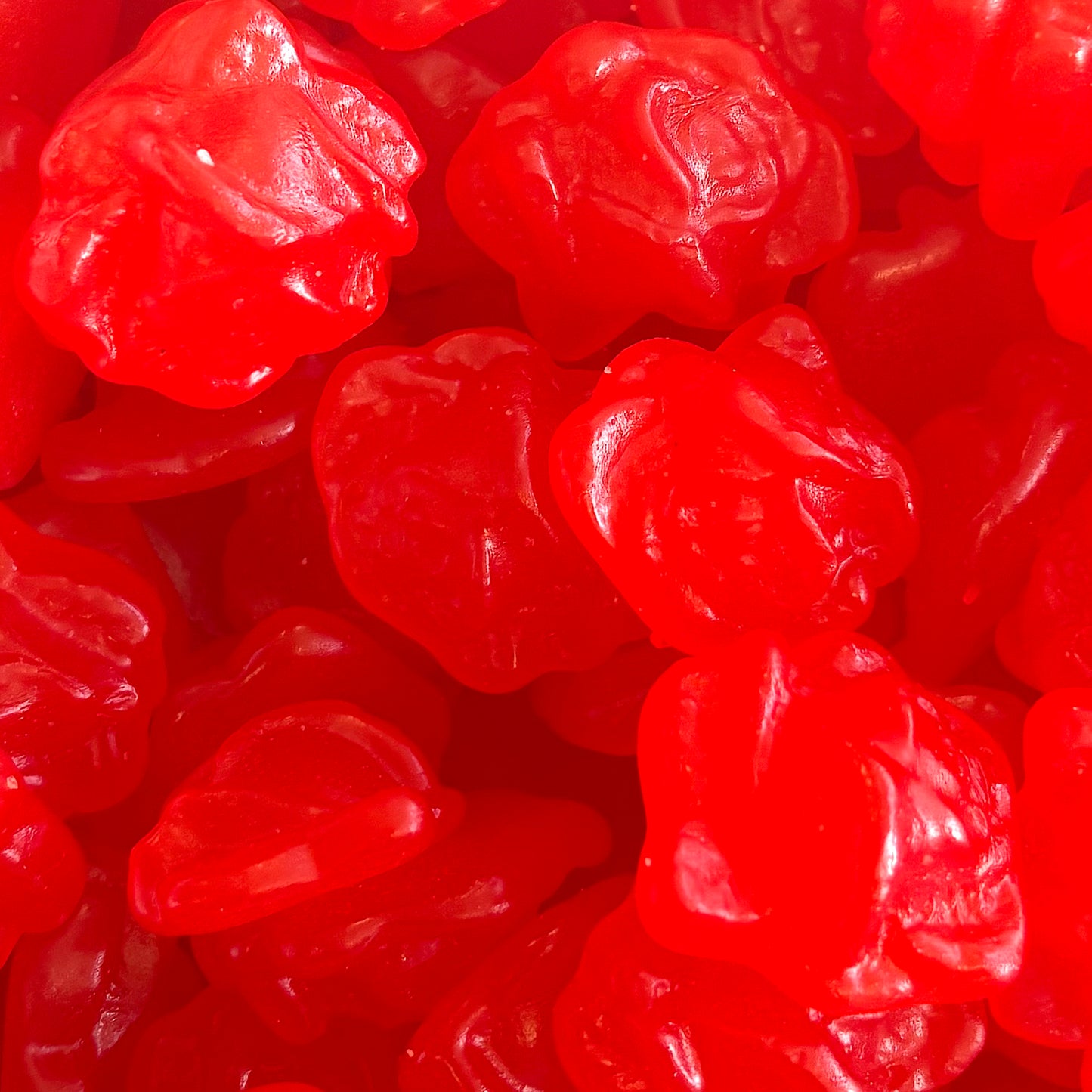 Rose Cerise Lisse - 100 g