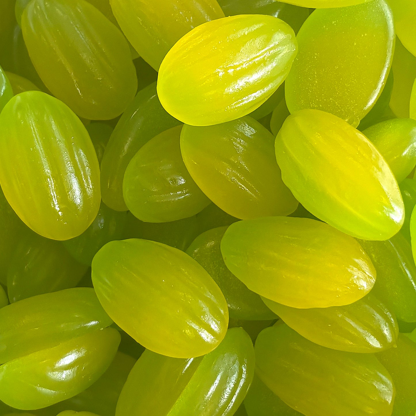 Melons Lisses - 100g
