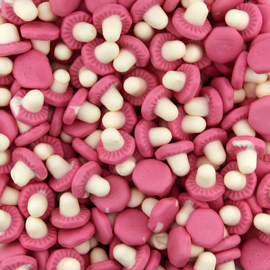 Champignons Lisses - 100g