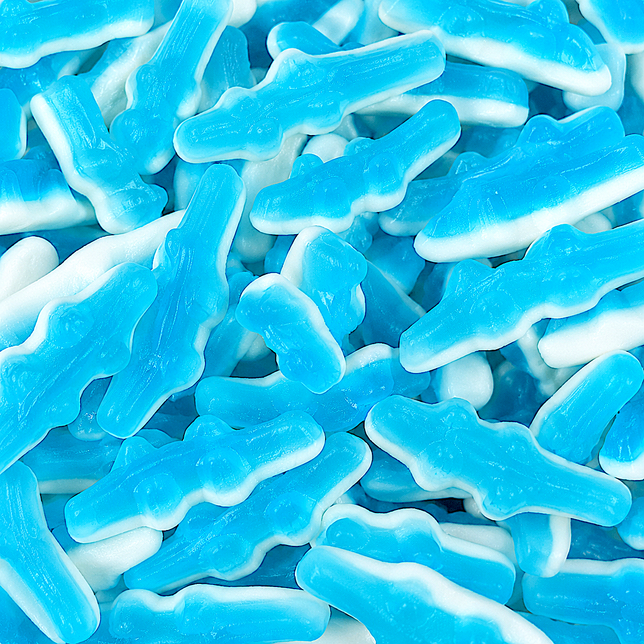 Crocodile Bleu Lisse - 100 g
